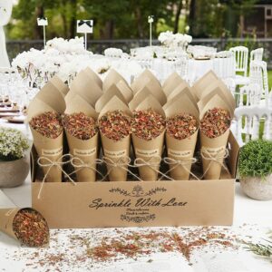 81cu5rH9OKL._AC_SL1500_[1]